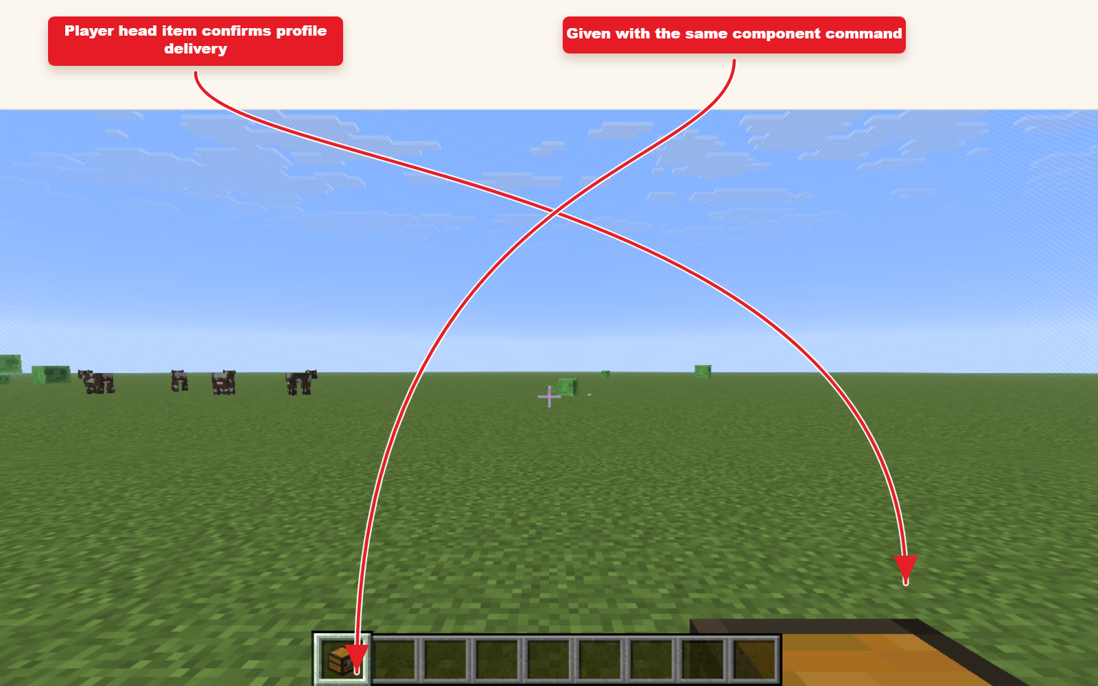 In-game screenshot showing Player head profile item delivered to the player.