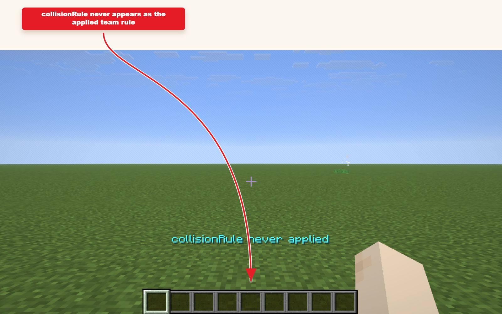 In-game Minecraft screenshot showing Team collision rule preset result.