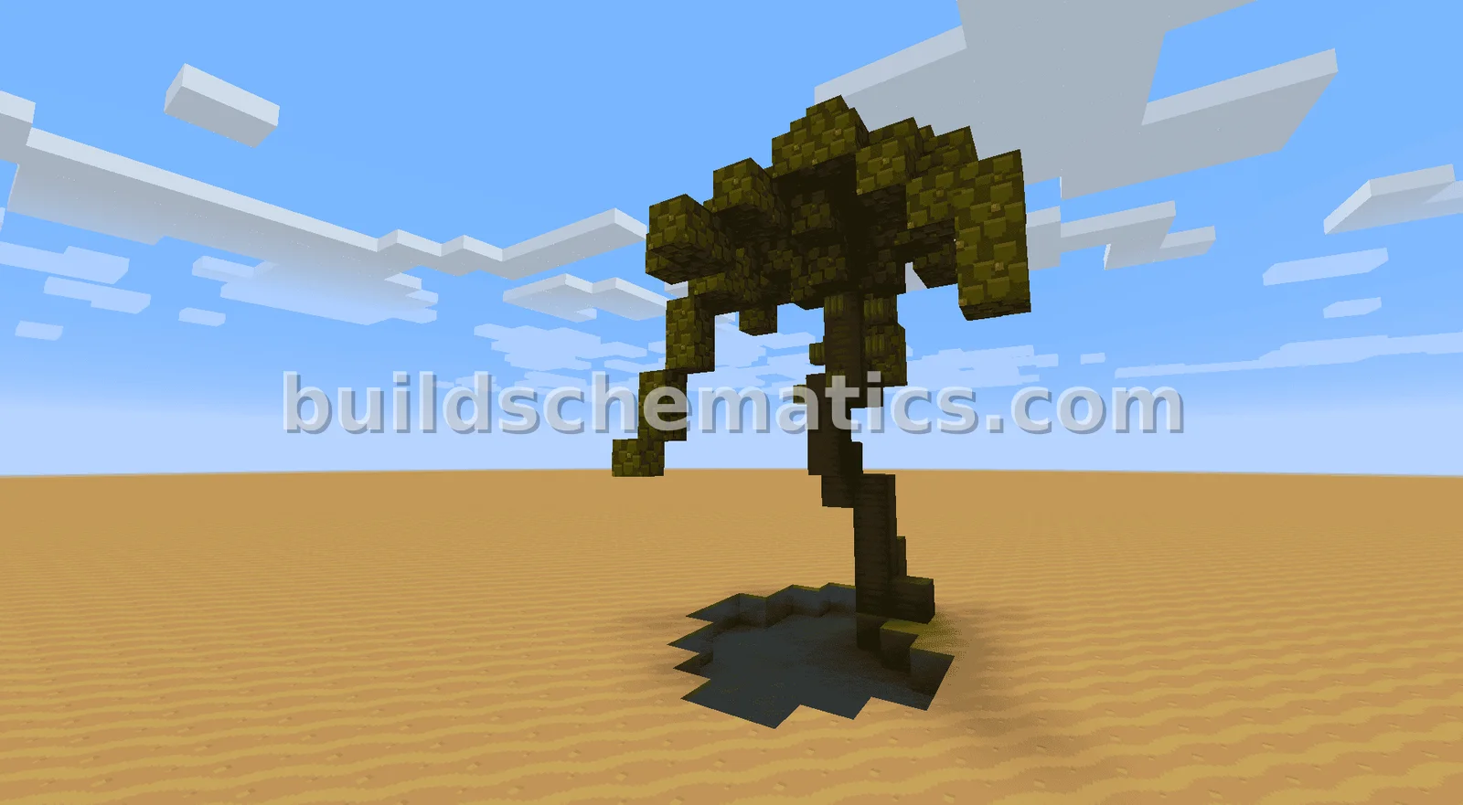 Medium Palm Tree With Cocoa Pods