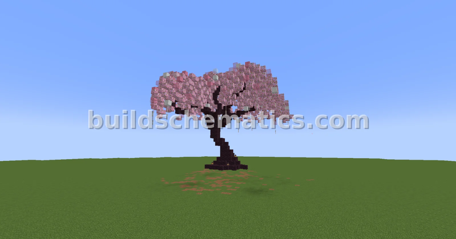 Sakura Tree