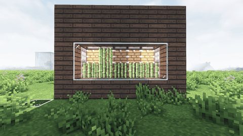 Easy Automatic Sugarcane Farm