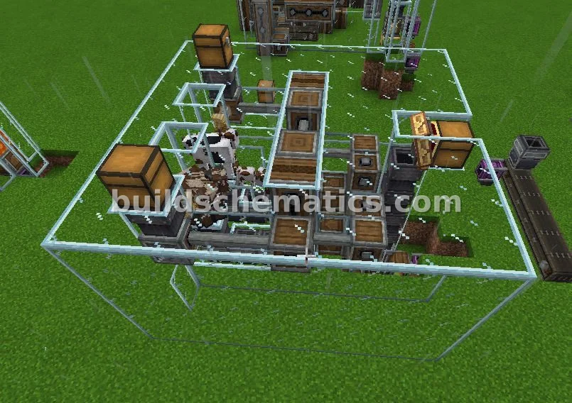 Cow and Sheep Farm