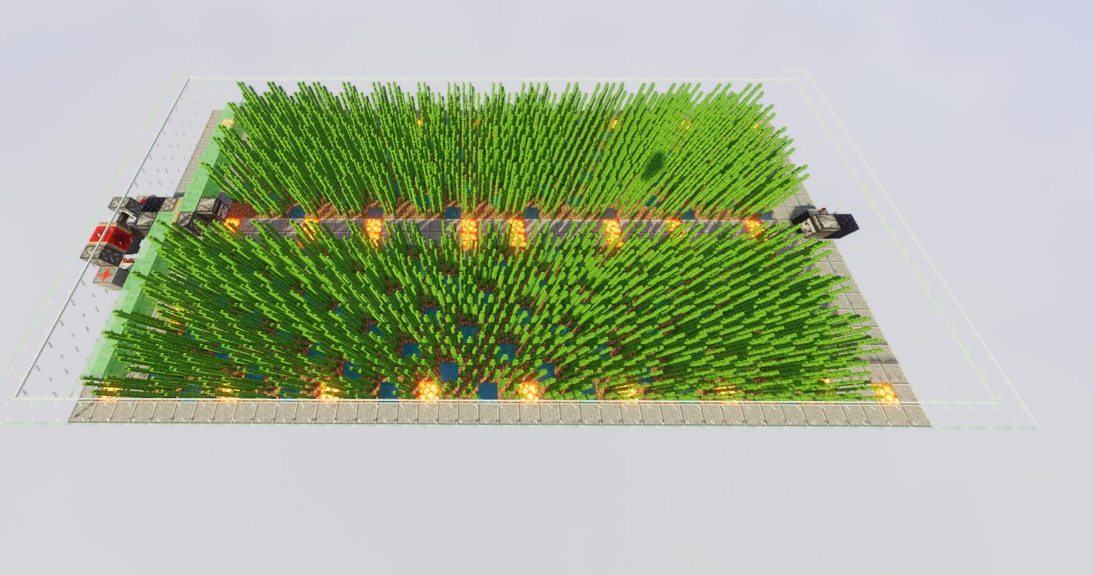 High-Capacity Sugar Cane Farm