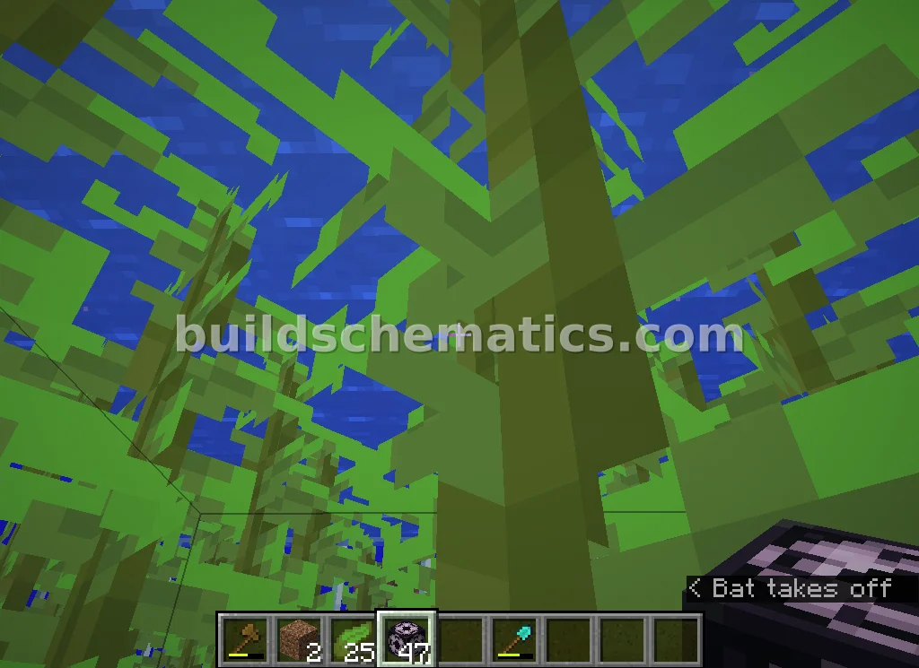 Underwater Kelp Farm — view 4