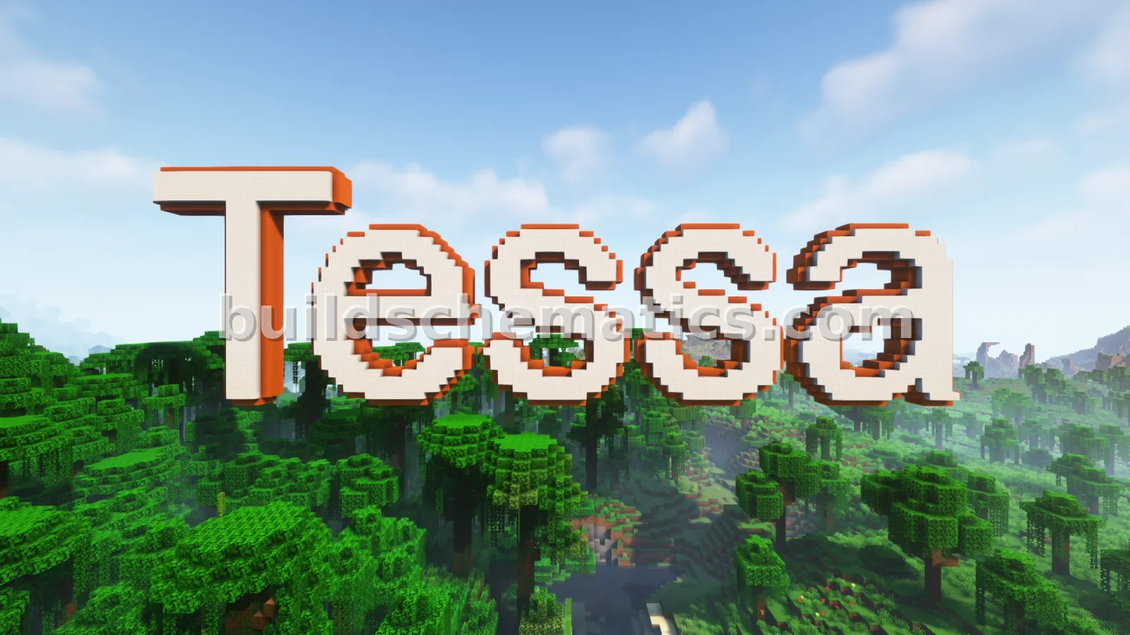 Giant Tessa Nameplate Build
