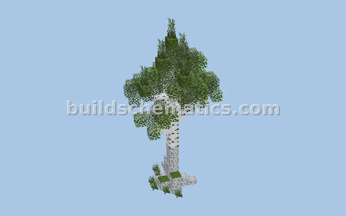 Birch Tree 3