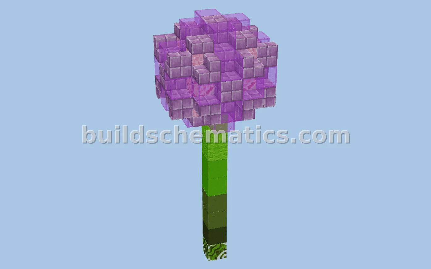 Medium Allium Model Recreation Build