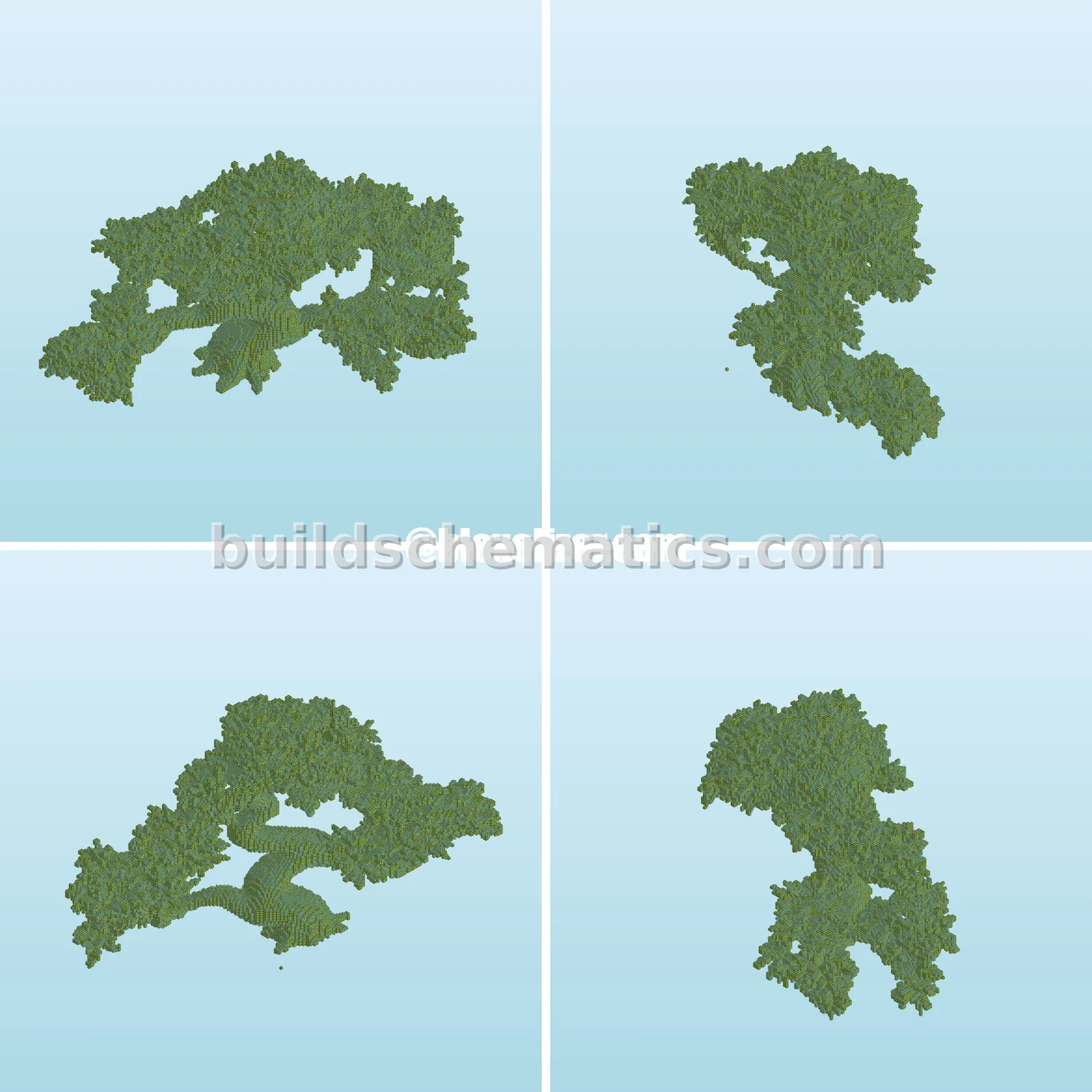 Bonsai Tree