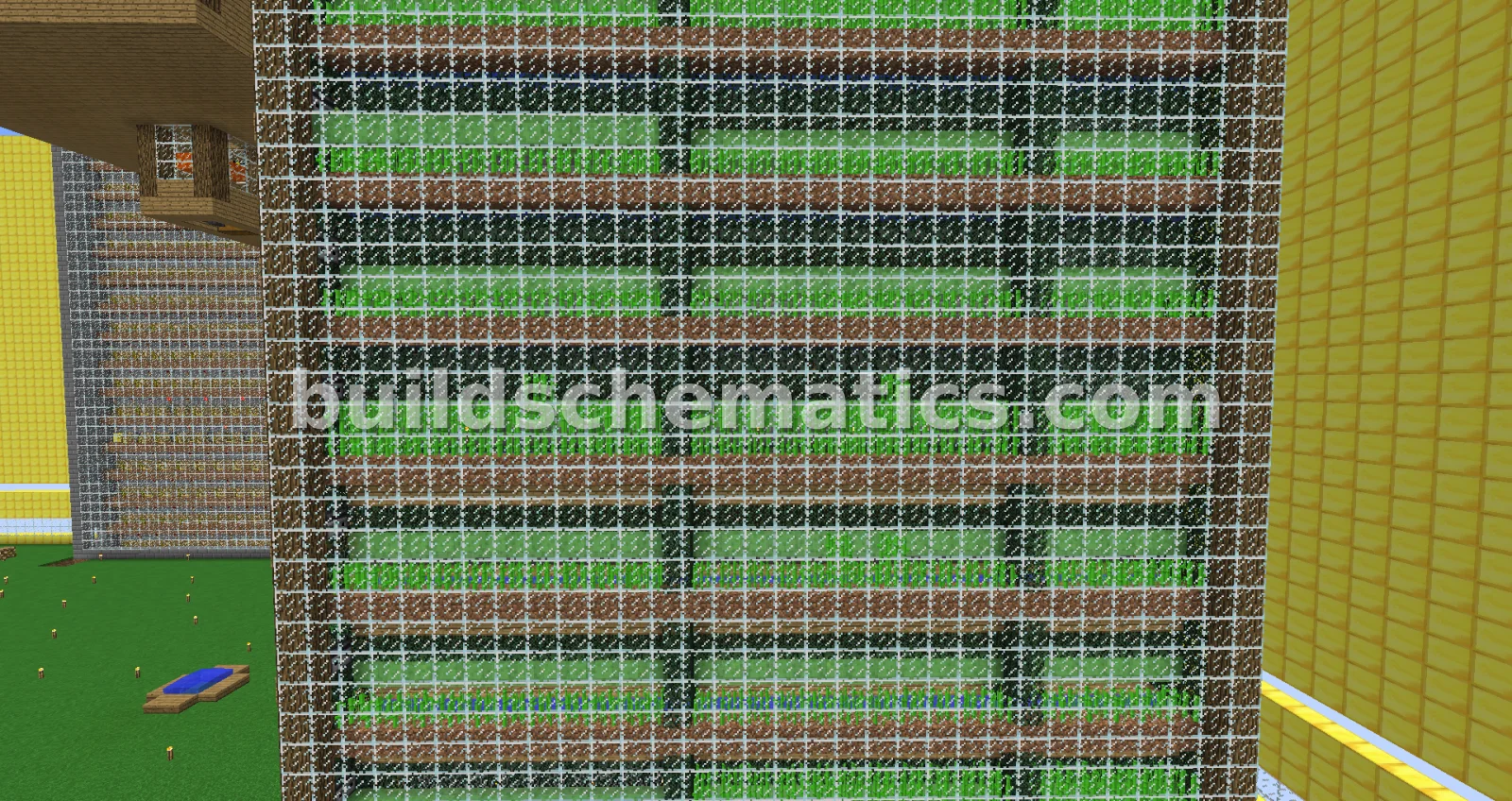 Large Sugarcane Farm