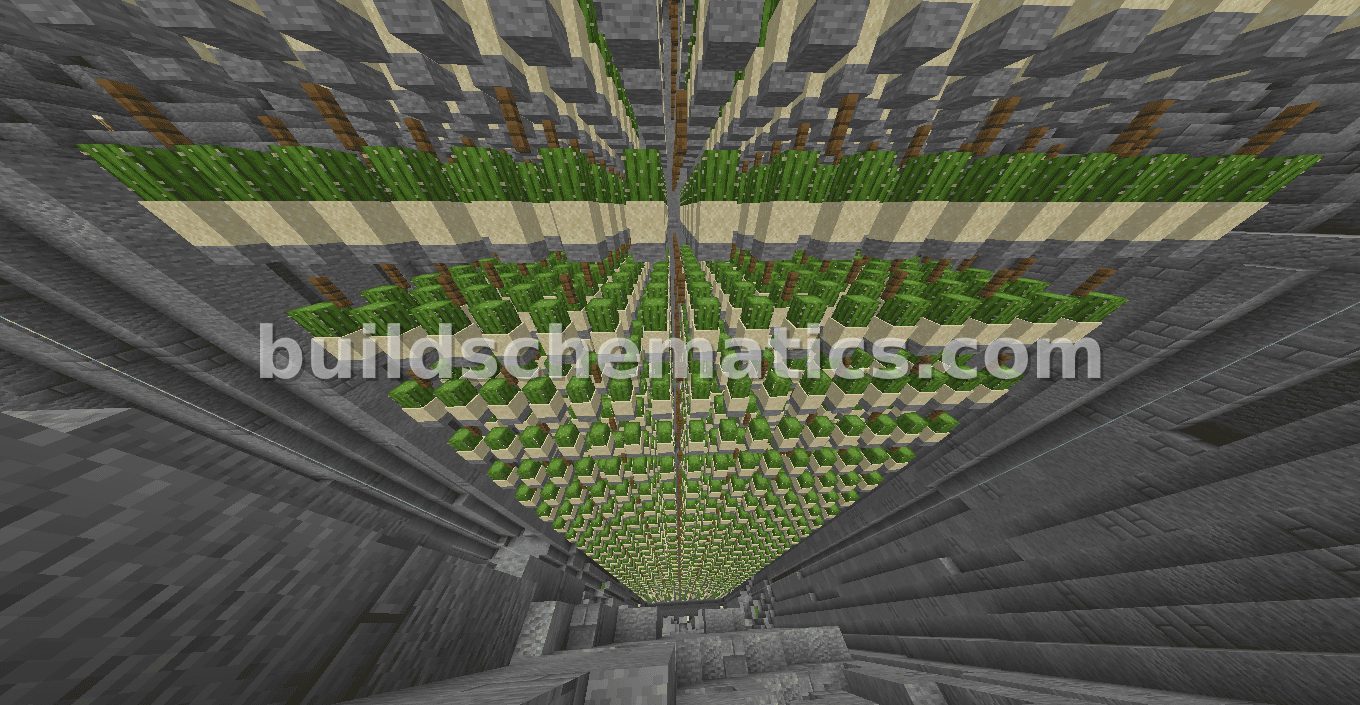 Christ the Redeemer Cactus Farm — view 2