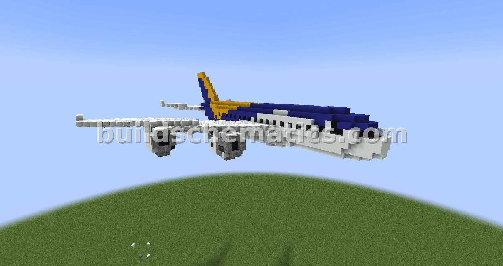 Large Airplane