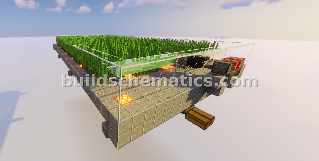 High-Capacity Sugar Cane Farm — view 4