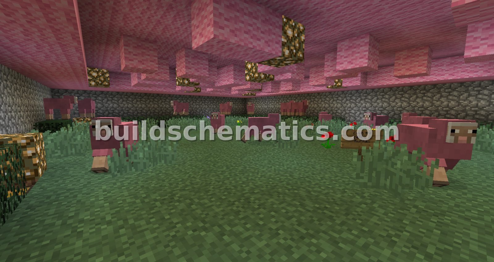 Pink Sheep Science Lab Schematic — view 4