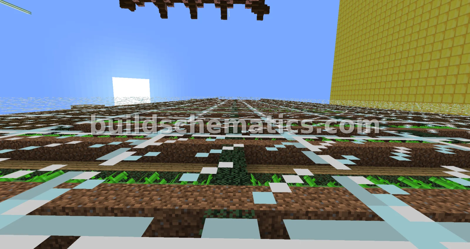 Large Sugarcane Farm — view 2