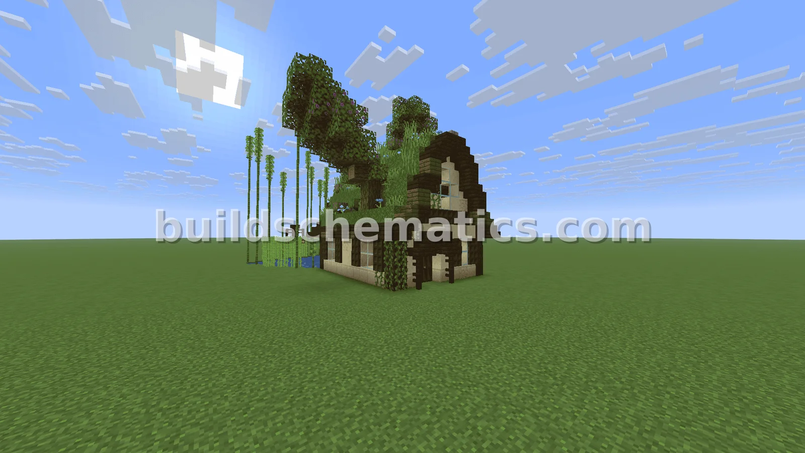 Small Lake House