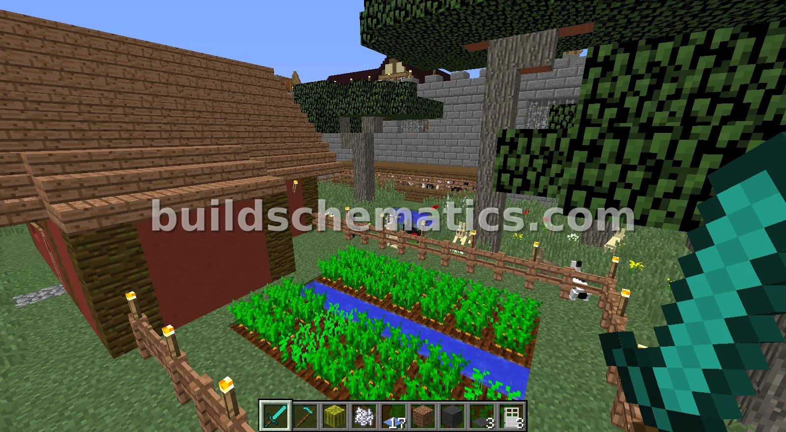 Modern House With Bunny Farm