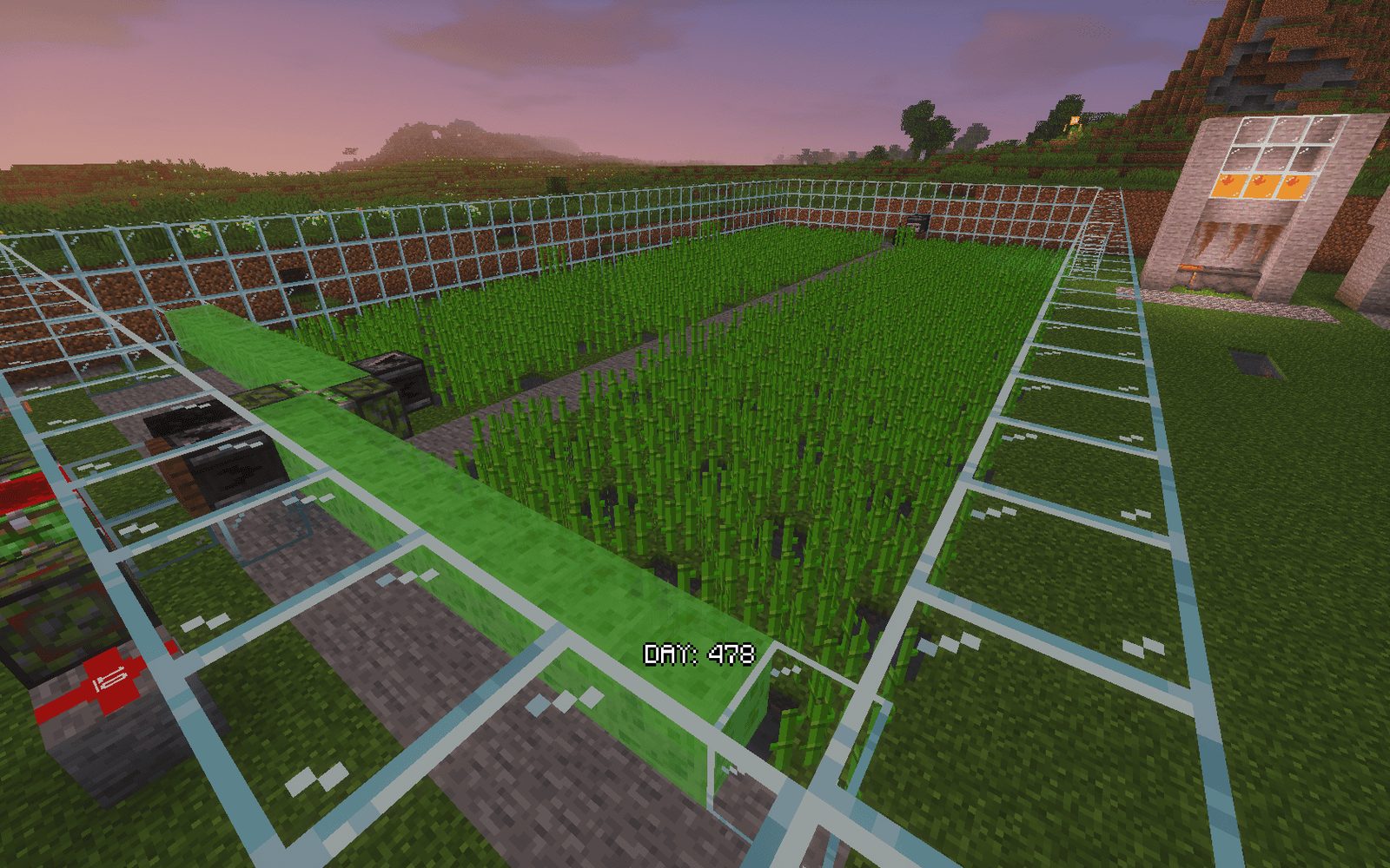 Efficient Sugar Cane Farm