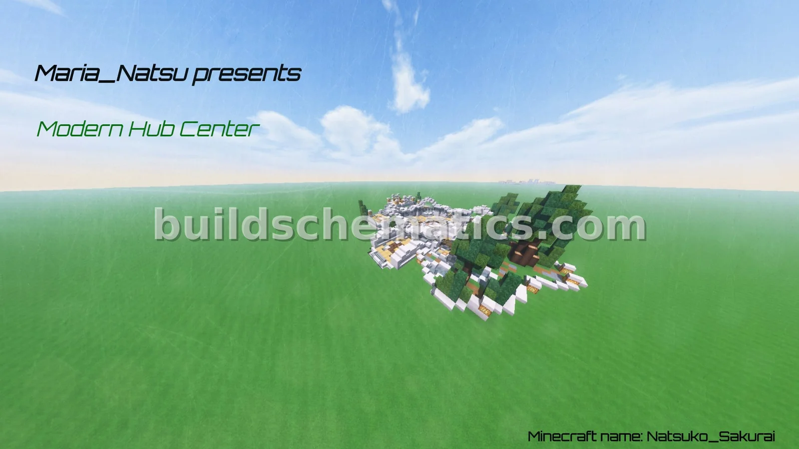 Modern Style Hub Center