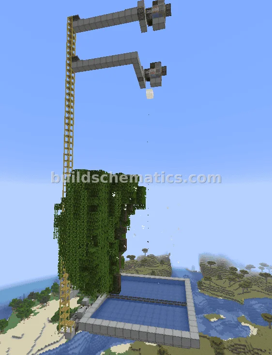 Mangrove Wood Farm