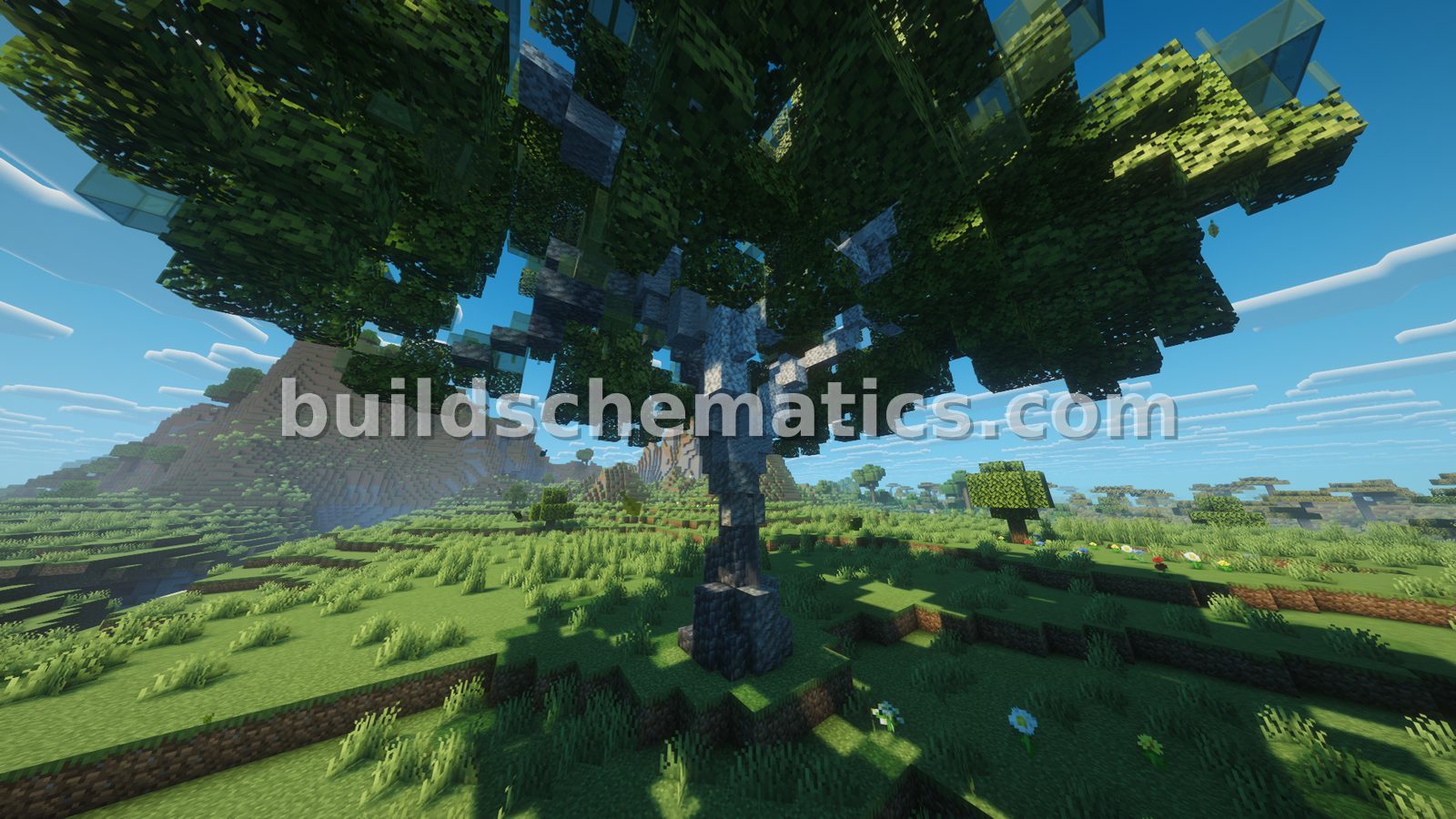 Small Bushy Tree — view 2