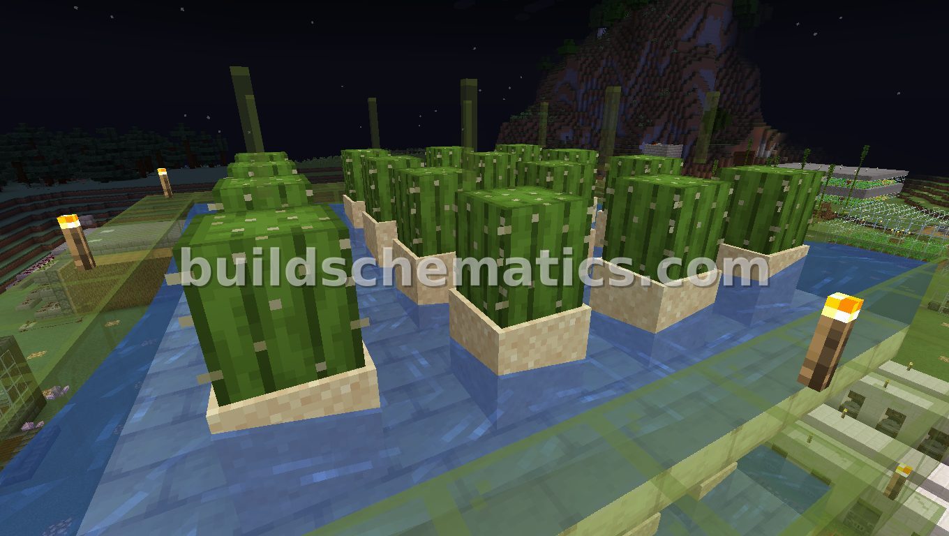 Small Cactus Farm Starter — view 2