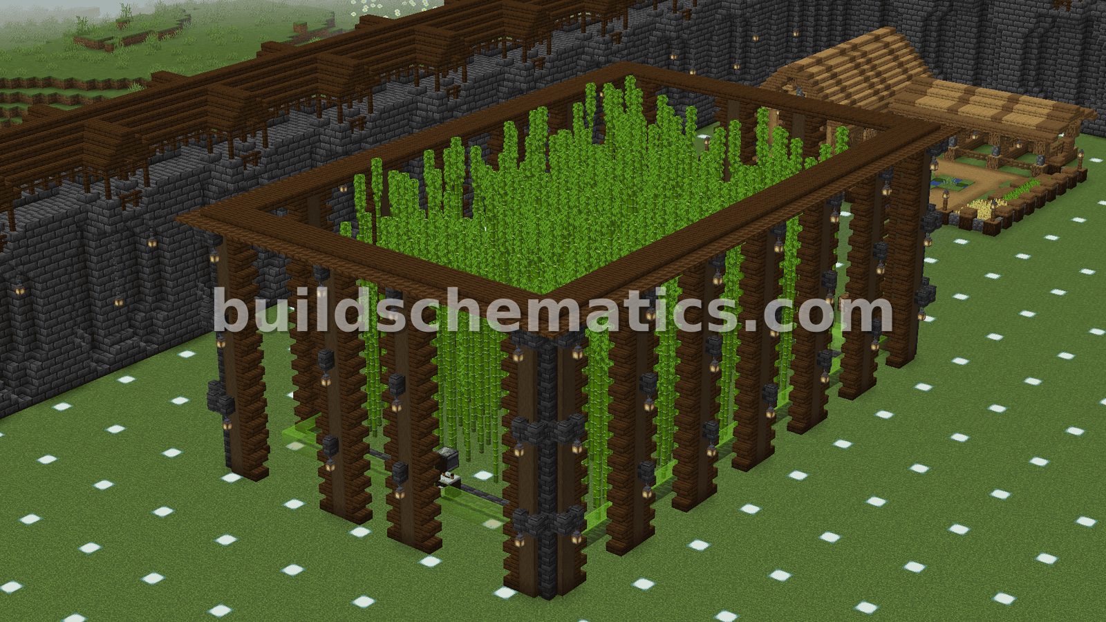 Automatic Bamboo Farm