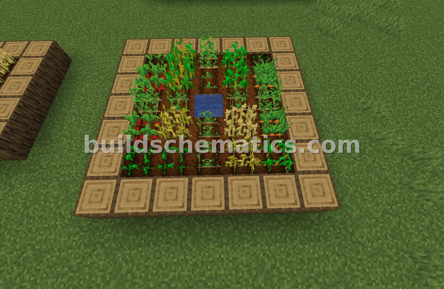 Simple 7x7 Field Structure