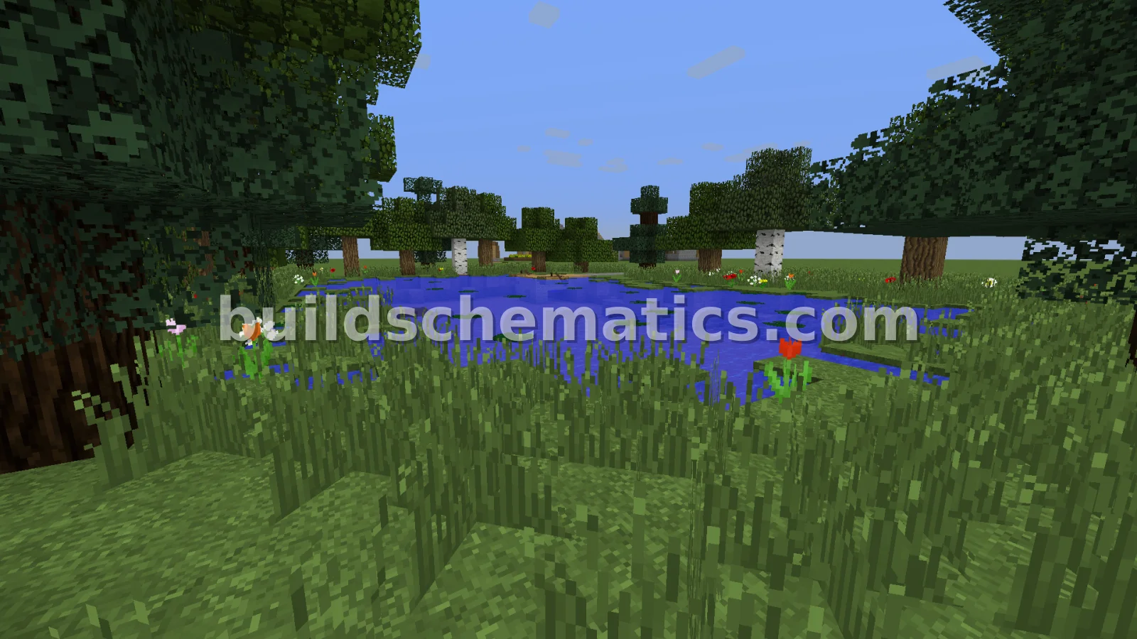 Small Fishing Pond — view 2