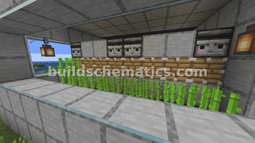 20-Story Sugar Cane Farm