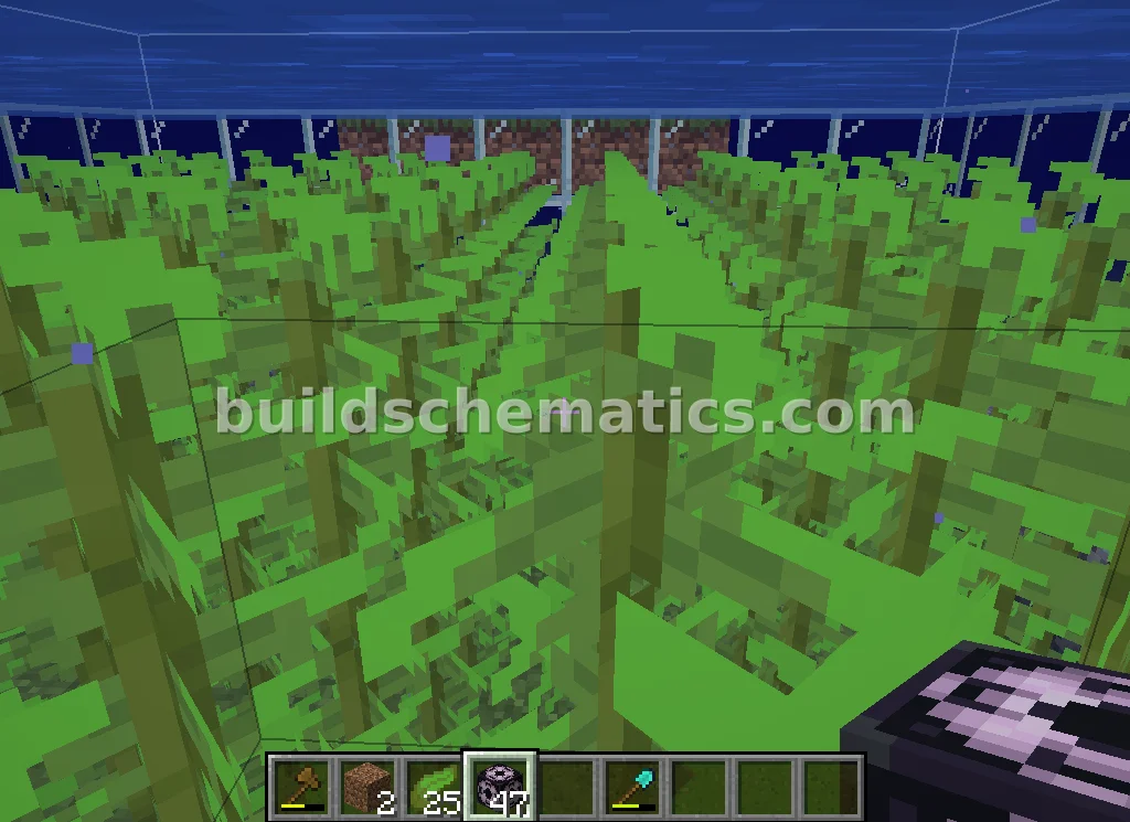 Underwater Kelp Farm — view 3