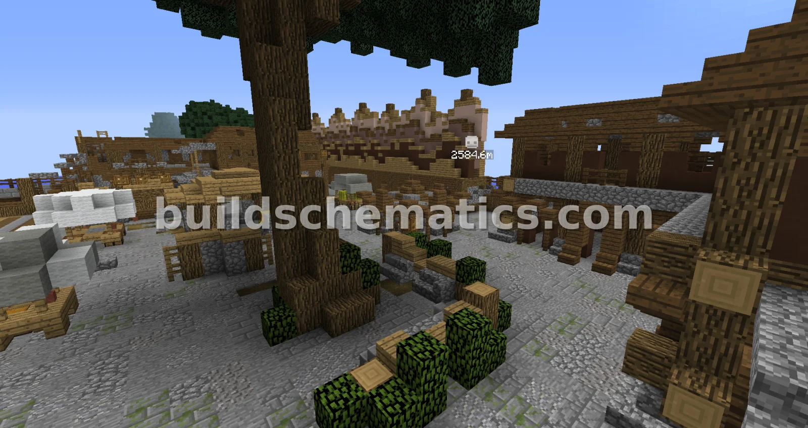 Abandoned Village Arena — view 2