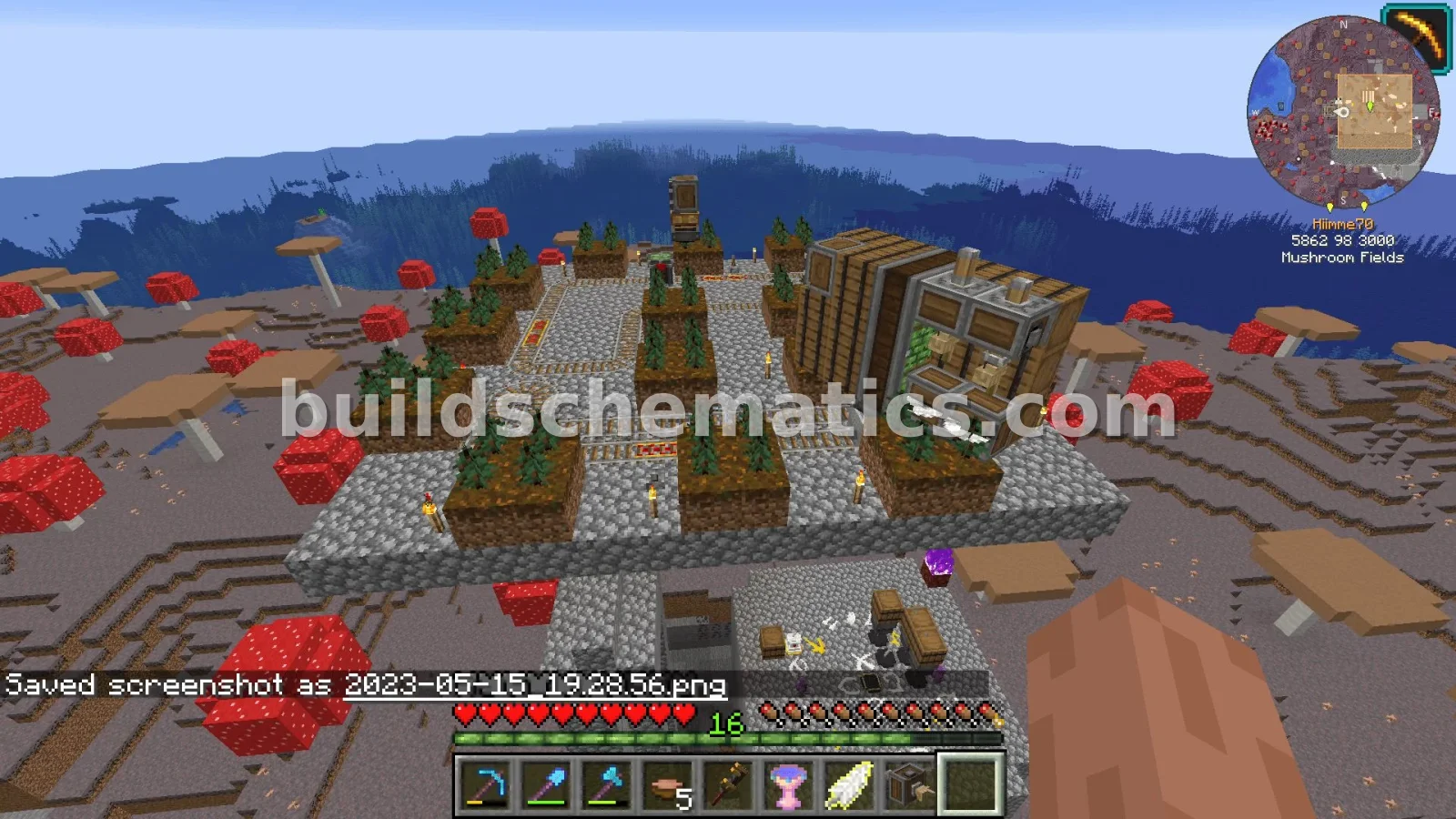 Giant Spruce Tree Farm — view 5