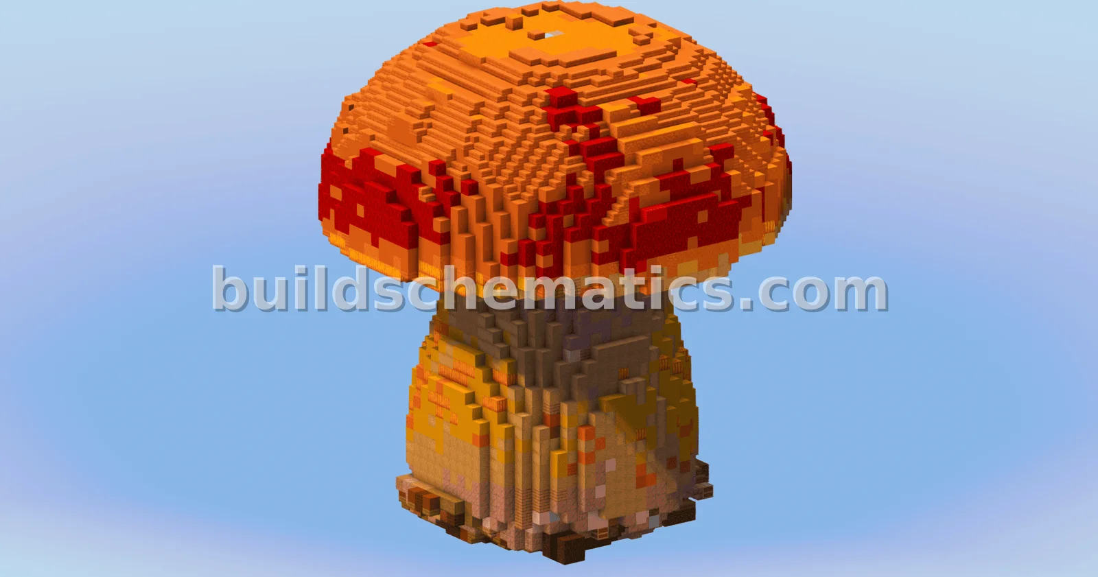 Mushroom Porcini Organic Build