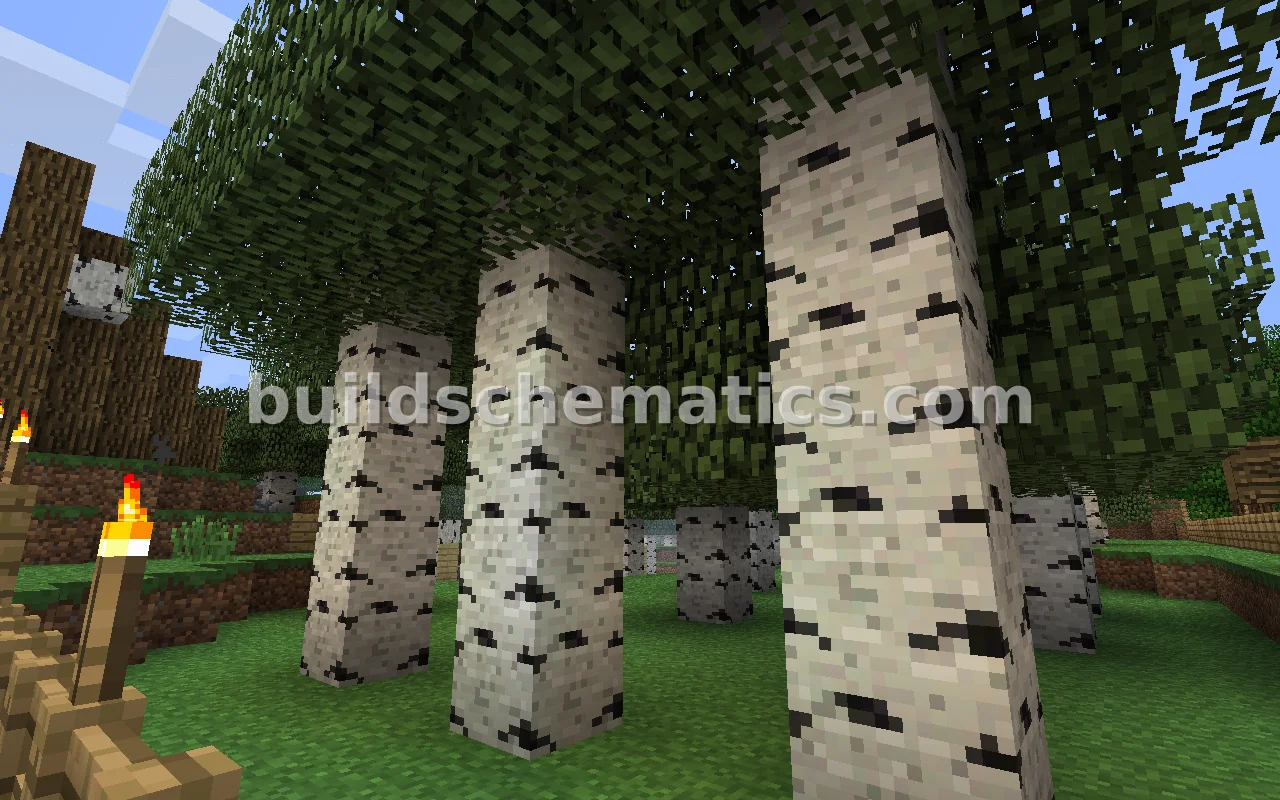Compact Wood Production Farm
