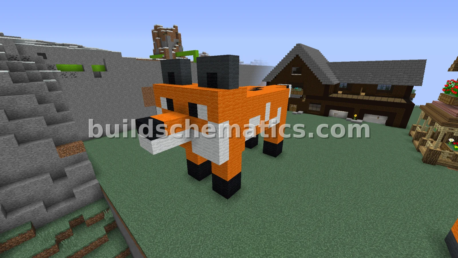 Cute Small Fox