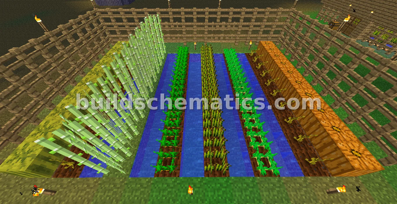 Simple Protected Field — view 4