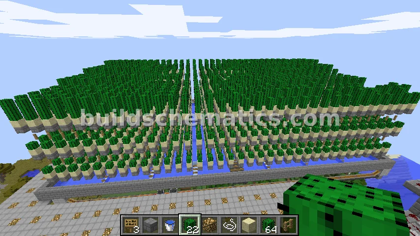 Simple Large Cactus Farm