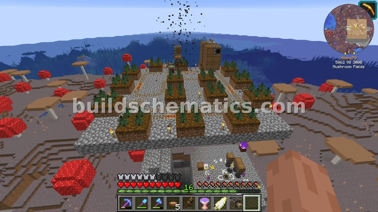 Giant Spruce Tree Farm — view 4