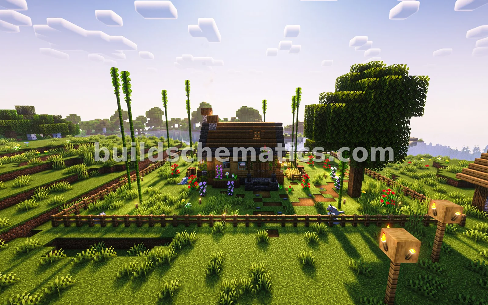 Small Starter House