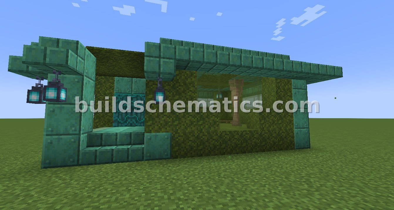 Copper Swamp Dwelling — view 2