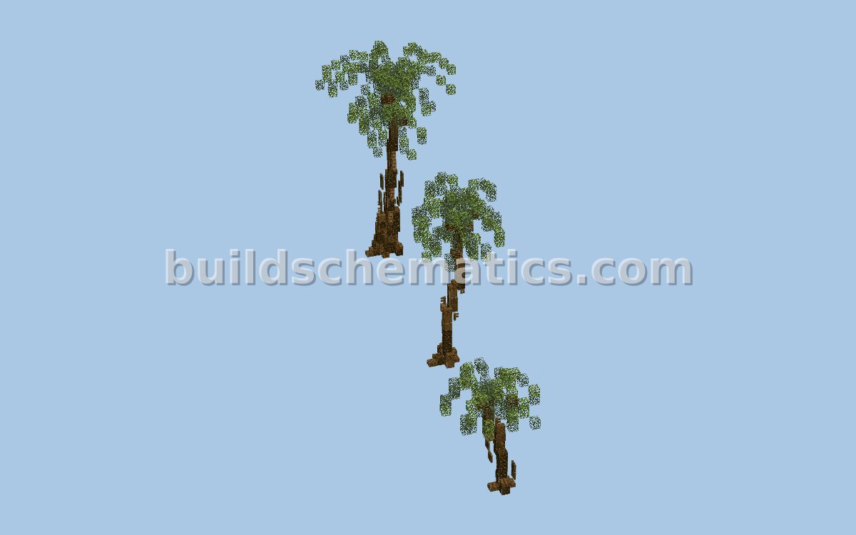 Palm Pack 1 Tree Asset