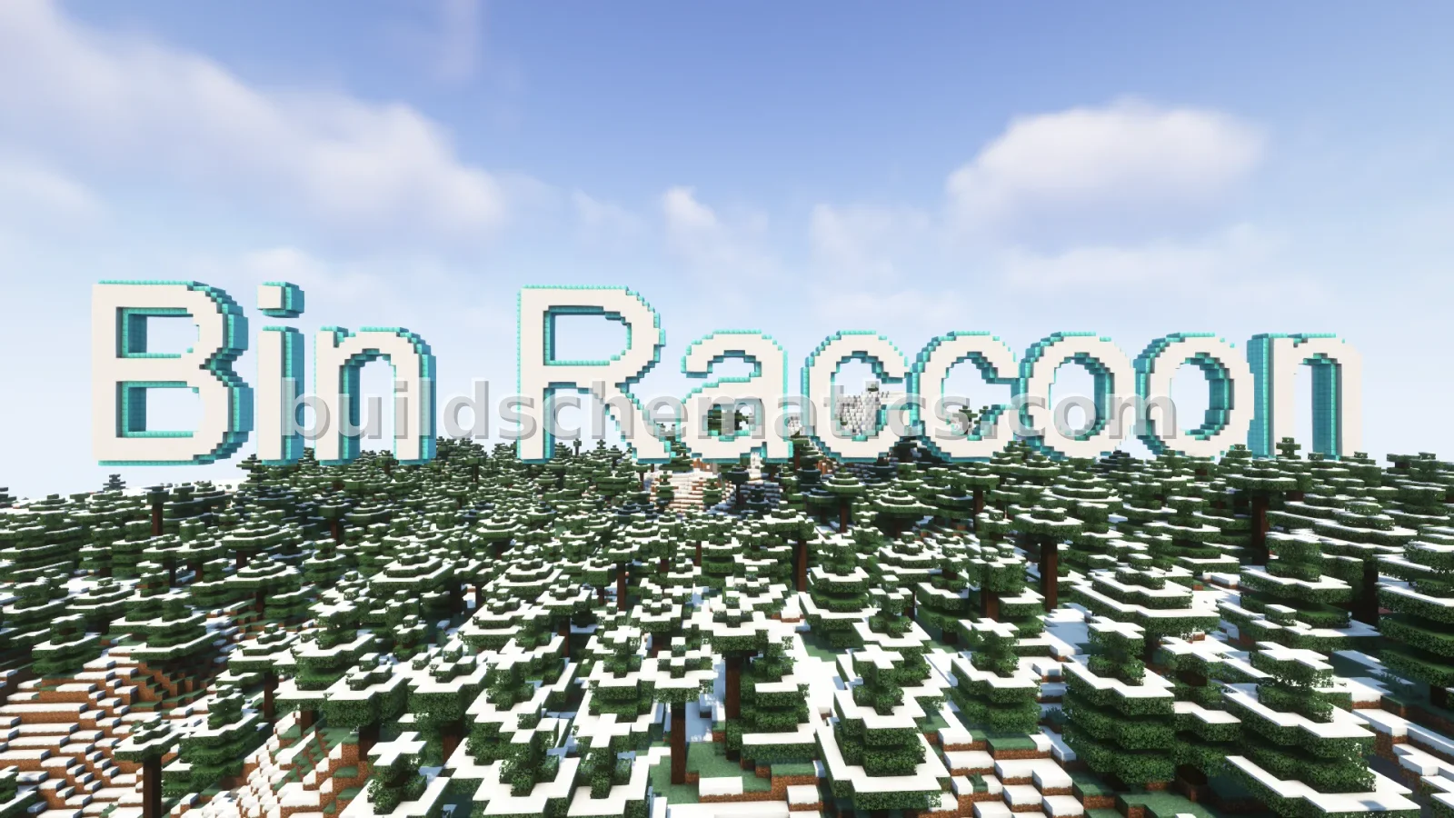 Bin Raccoon Nameplate in 3D Block Letters