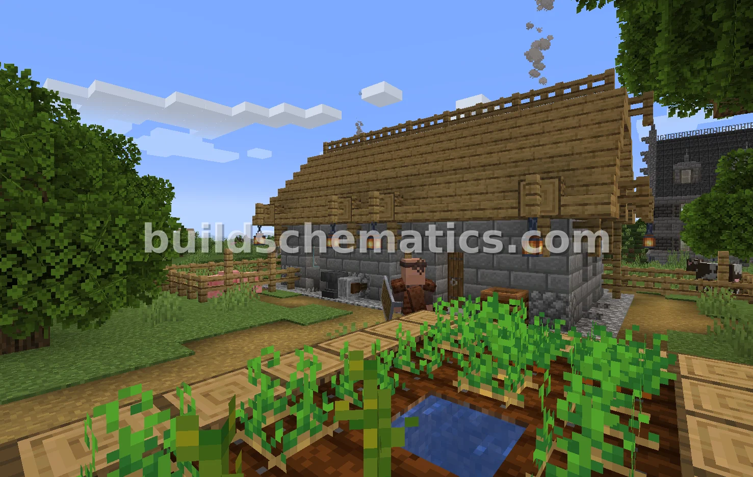 Leniland Story Farmhouse 1
