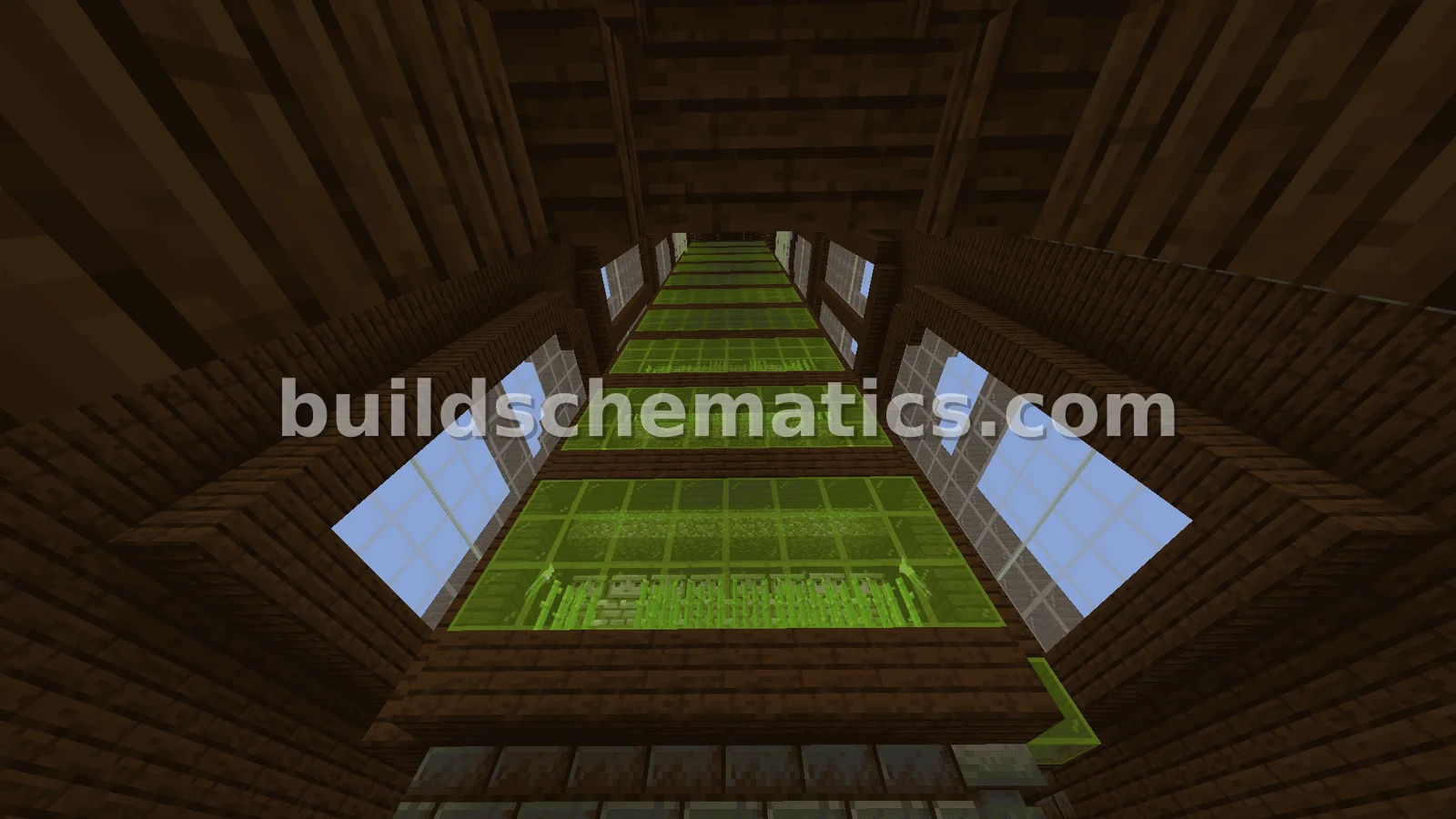 Fully Automatic Sugarcane Farm Build — view 3