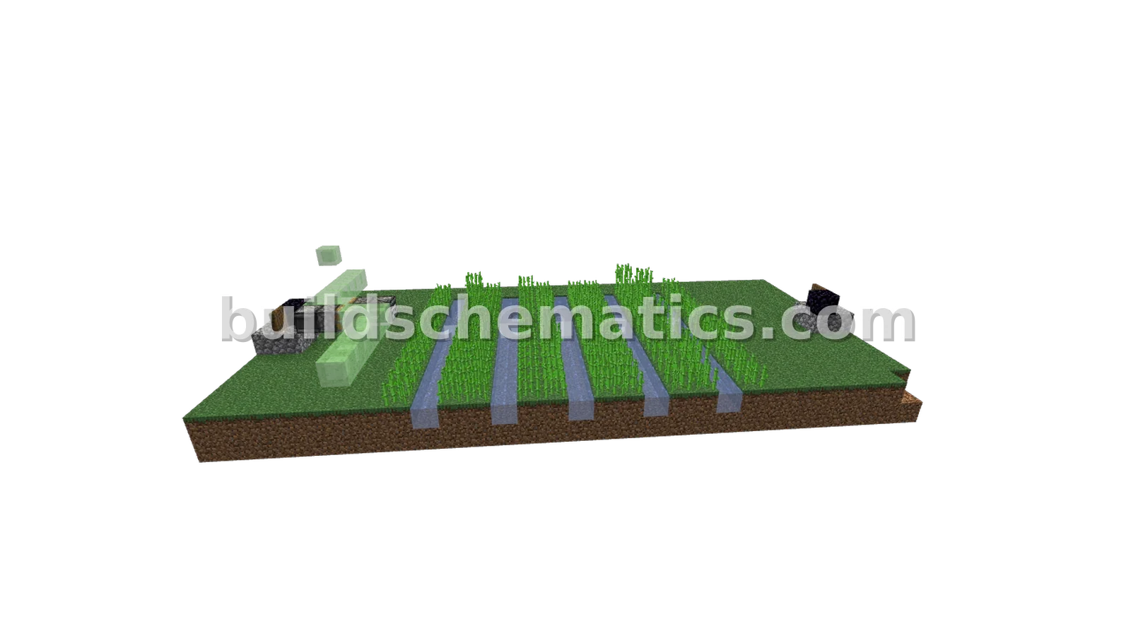 Compact Sugar Cane Farm