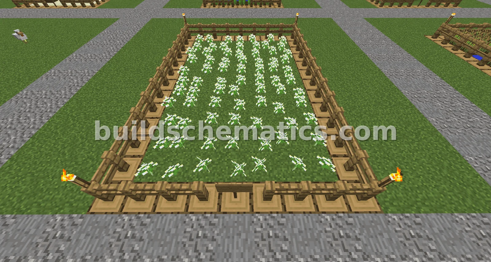Azure Bluet Farm