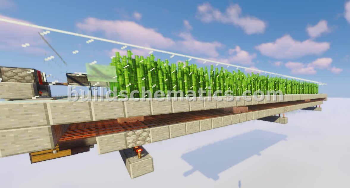 High-Capacity Sugar Cane Farm — view 3