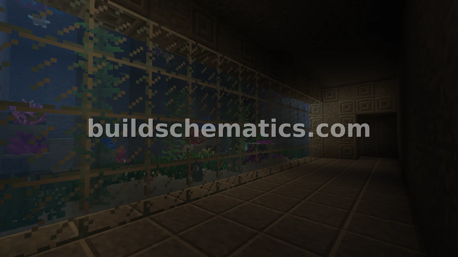 Aquarium Build — view 2