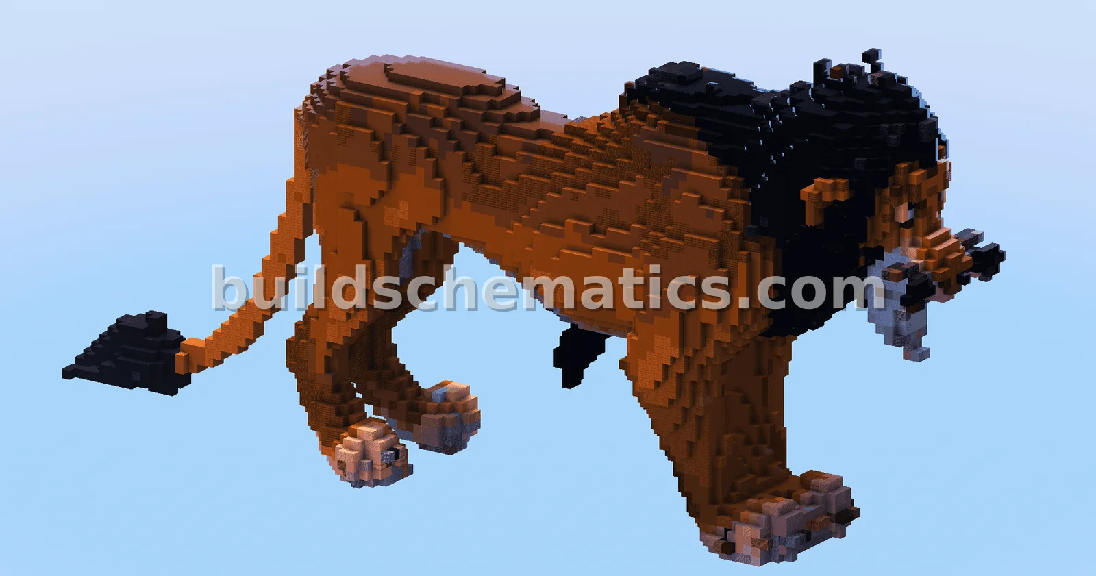 Scar Build