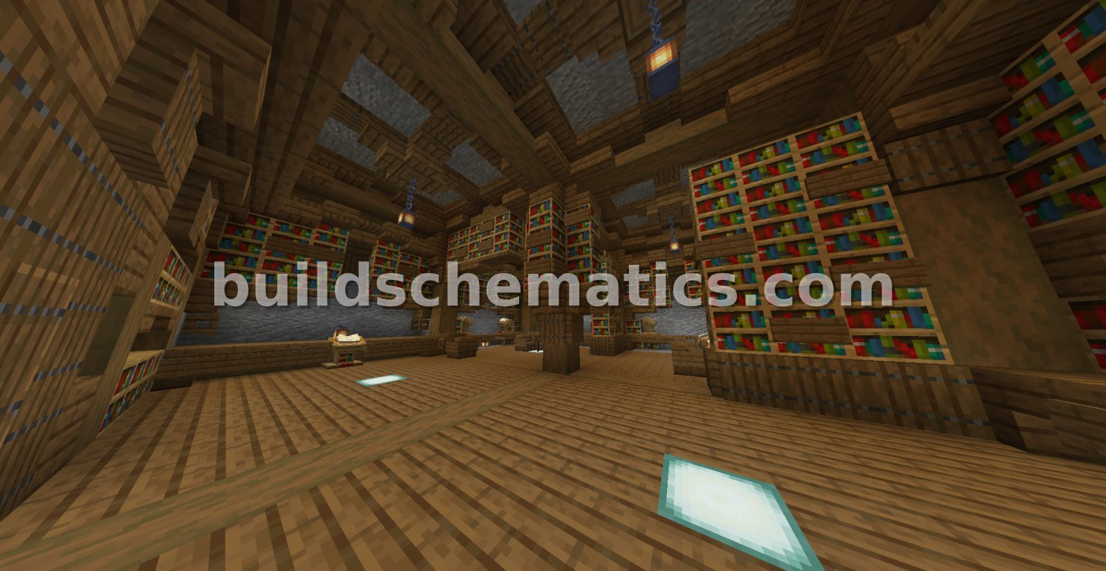 Turtle Library — view 2